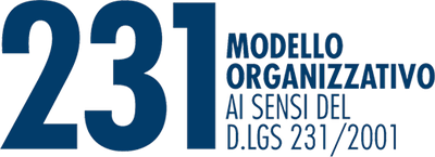 Modello 231